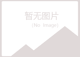 银川西夏谷波化学有限公司